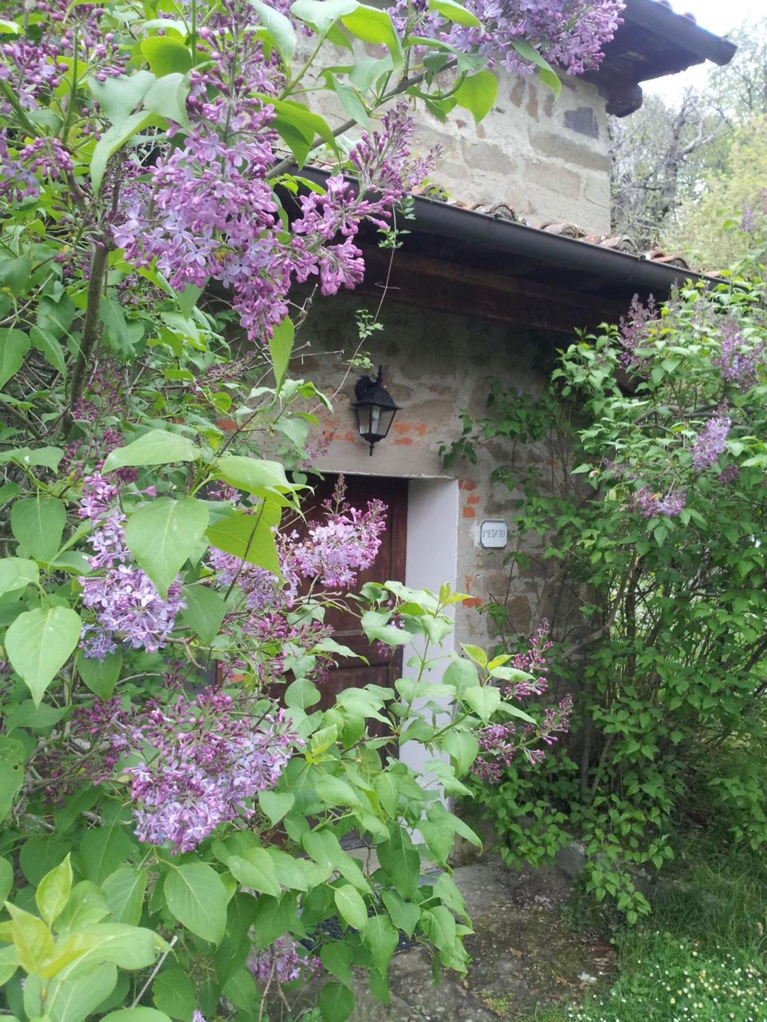 Вилла Fattoria Il Praticino - Metato Castelfranco di Sopra Экстерьер фото